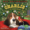 Charlie and the Christmas Kitty